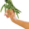 Folkmanis Fingerpuppe Mini Gottesanbeterin / Mini Praying Mantis -Djeco Verkäufe 2610 600x600