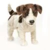 Folkmanis Handpuppe Jack Russell Terrier / Jack Russell Terrier