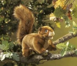 Folkmanis Handpuppe Eichhörnchen / Red Squirrel -Djeco Verkäufe 76 2880 b 600x600
