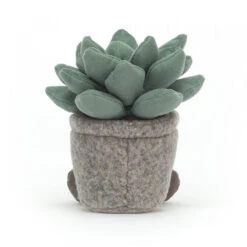 Jellycat Stofftier Silly Succulent Azulita -Djeco Verkäufe SS6AZ 2 600x600