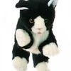 Living Puppets Handpuppe S/w. Katze